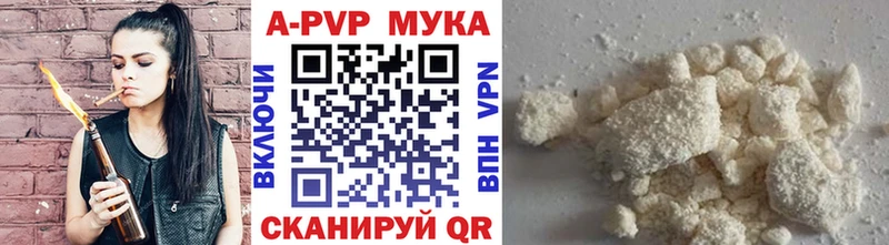 как найти закладки Мышкин A PVP СК