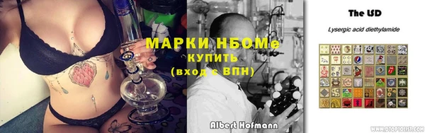 тгк Алексин