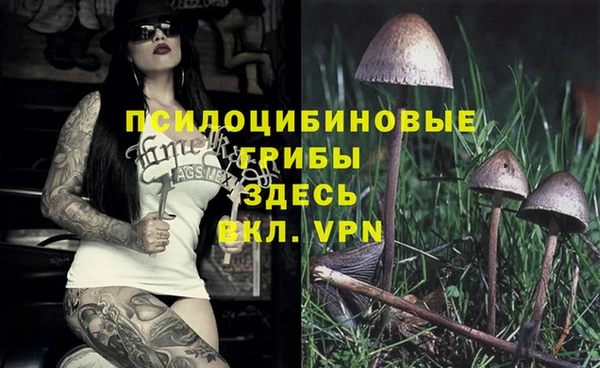 прущая мука Алзамай